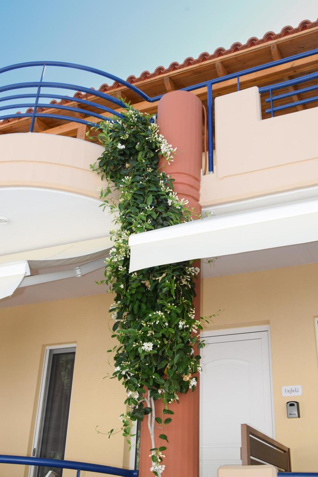 Andy'S Plaza Apartment Agia Pelagia  Exterior photo