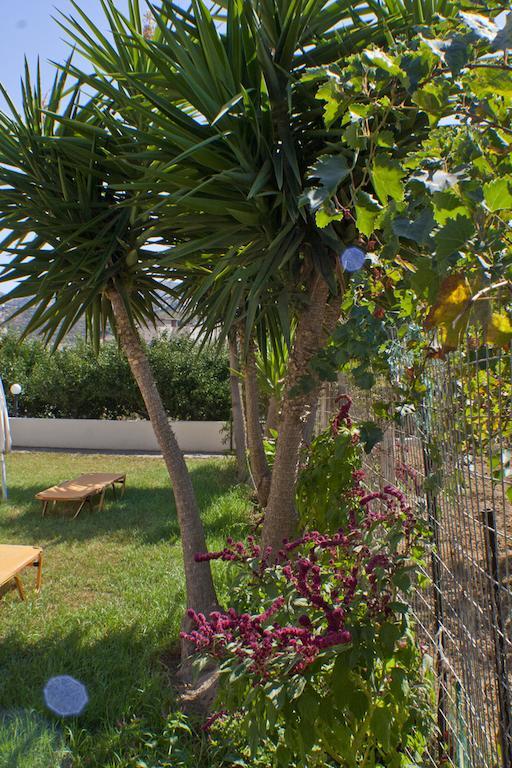 Andy'S Plaza Apartment Agia Pelagia  Exterior photo